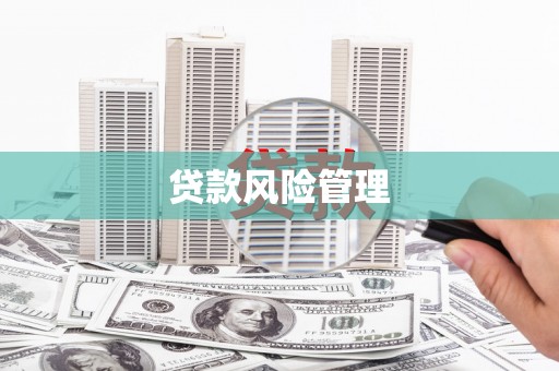 依兰贷款风险管理