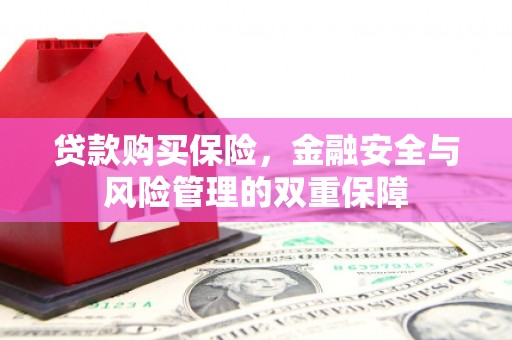 依兰贷款购买保险，金融安全与风险管理的双重保障