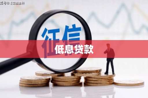 依兰低息贷款