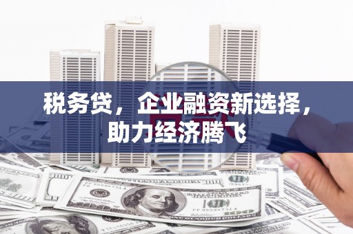 依兰税务贷，企业融资新选择，助力经济腾飞