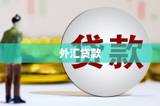 依兰外汇贷款