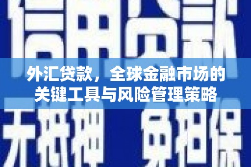依兰外汇贷款，全球金融市场的关键工具与风险管理策略