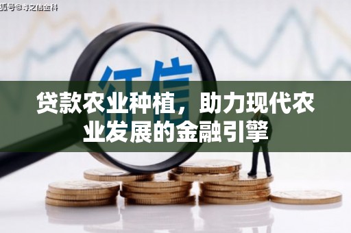 依兰贷款农业种植，助力现代农业发展的金融引擎