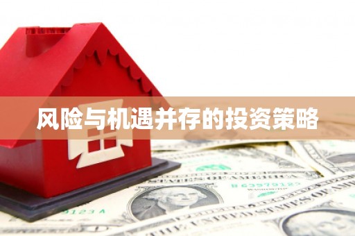 依兰风险与机遇并存的投资策略