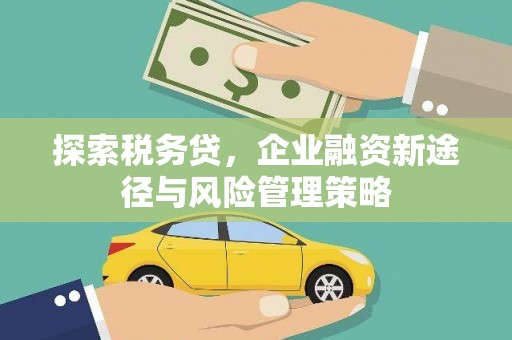 依兰探索税务贷，企业融资新途径与风险管理策略