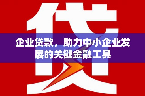 依兰企业贷款，助力中小企业发展的关键金融工具