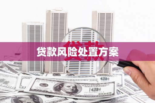 依兰贷款风险处置方案