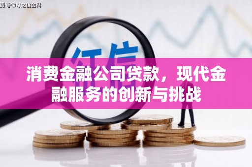 依兰消费金融公司贷款，现代金融服务的创新与挑战