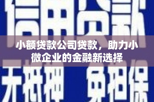 依兰小额贷款公司贷款，助力小微企业的金融新选择