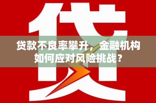 依兰贷款不良率攀升，金融机构如何应对风险挑战？