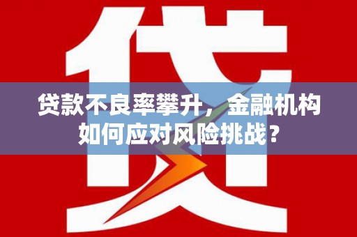 依兰贷款不良率攀升，金融机构如何应对风险挑战？