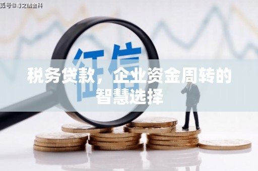 依兰税务贷款，企业资金周转的智慧选择