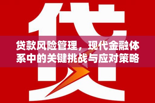 依兰贷款风险管理，现代金融体系中的关键挑战与应对策略