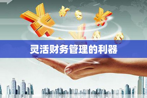 依兰灵活财务管理的利器