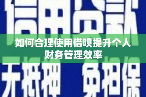 依兰如何合理使用借呗提升个人财务管理效率