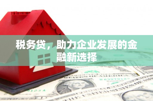 依兰税务贷，助力企业发展的金融新选择