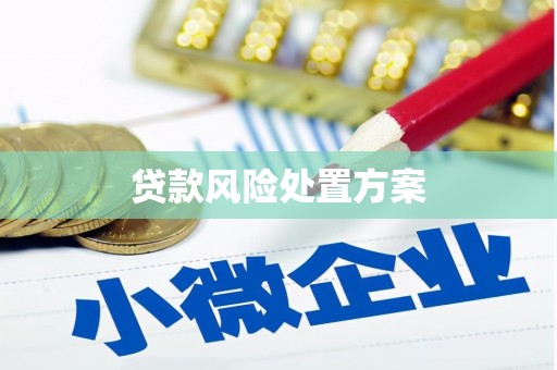 依兰贷款风险处置方案