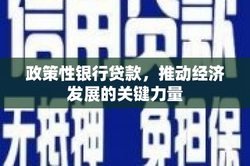 依兰政策性银行贷款，推动经济发展的关键力量
