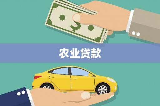 依兰农业贷款