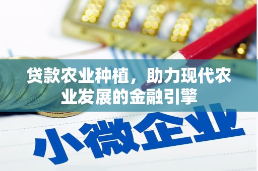 依兰贷款农业种植，助力现代农业发展的金融引擎