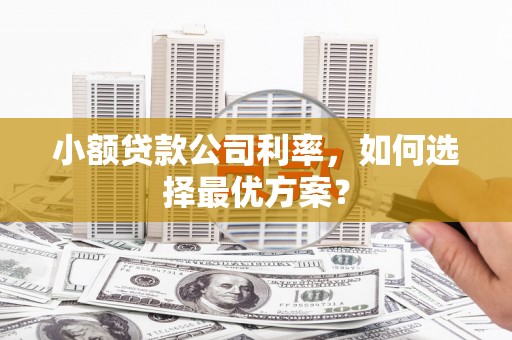 依兰小额贷款公司利率，如何选择最优方案？