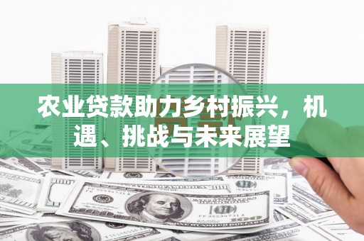 依兰农业贷款助力乡村振兴，机遇、挑战与未来展望