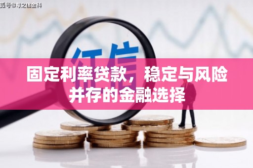 依兰固定利率贷款，稳定与风险并存的金融选择