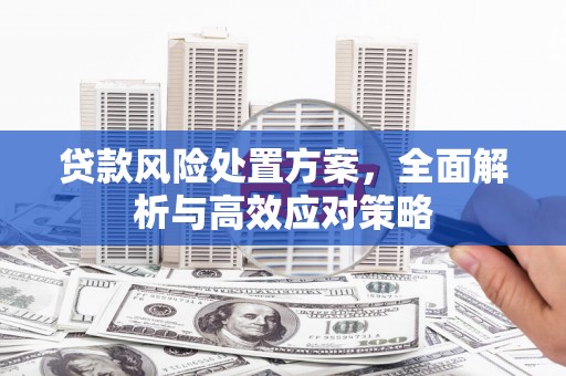 依兰贷款风险处置方案，全面解析与高效应对策略