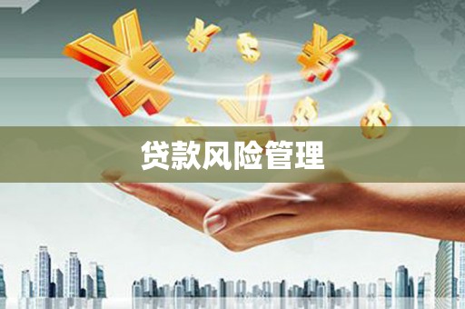 依兰贷款风险管理