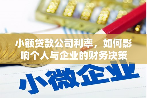 依兰小额贷款公司利率，如何影响个人与企业的财务决策