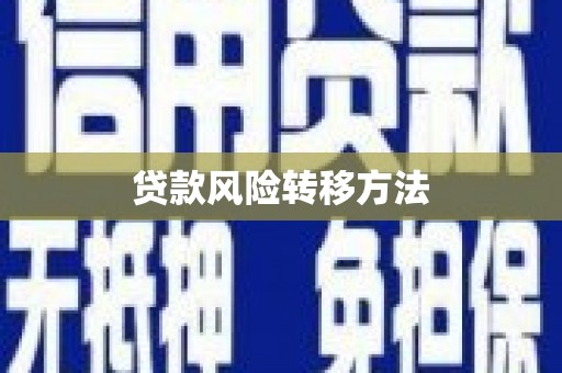 依兰贷款风险转移方法