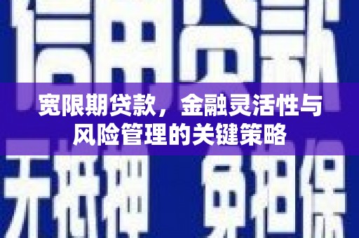 依兰宽限期贷款，金融灵活性与风险管理的关键策略