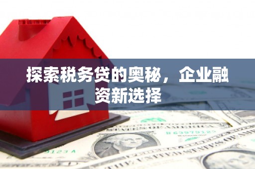 依兰探索税务贷的奥秘，企业融资新选择