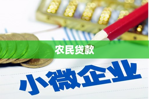 依兰农民贷款