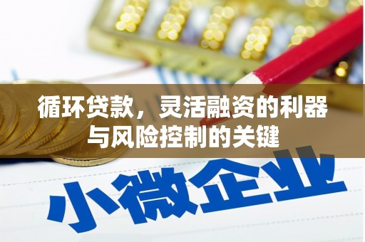 依兰循环贷款，灵活融资的利器与风险控制的关键