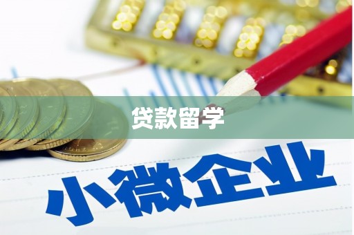 依兰贷款留学