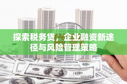 依兰探索税务贷，企业融资新途径与风险管理策略