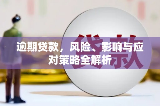 依兰逾期贷款，风险、影响与应对策略全解析