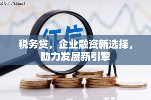 依兰税务贷，企业融资新选择，助力发展新引擎