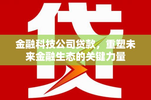依兰金融科技公司贷款，重塑未来金融生态的关键力量