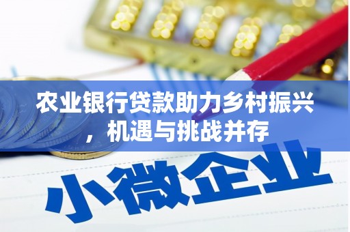 依兰农业银行贷款助力乡村振兴，机遇与挑战并存