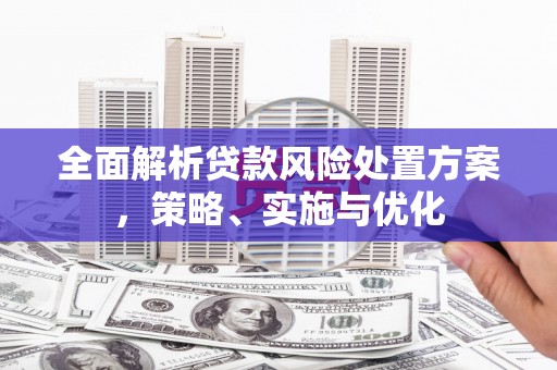 依兰全面解析贷款风险处置方案，策略、实施与优化