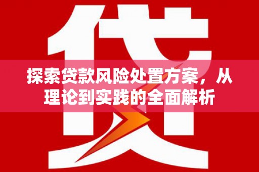 依兰探索贷款风险处置方案，从理论到实践的全面解析
