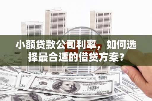依兰小额贷款公司利率，如何选择最合适的借贷方案？