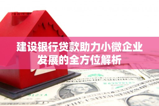 依兰建设银行贷款助力小微企业发展的全方位解析