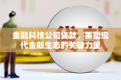依兰金融科技公司贷款，重塑现代金融生态的关键力量