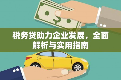 依兰税务贷助力企业发展，全面解析与实用指南