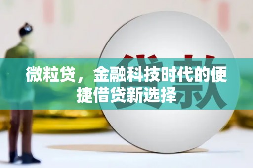 依兰微粒贷，金融科技时代的便捷借贷新选择