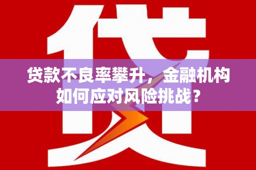 依兰贷款不良率攀升，金融机构如何应对风险挑战？