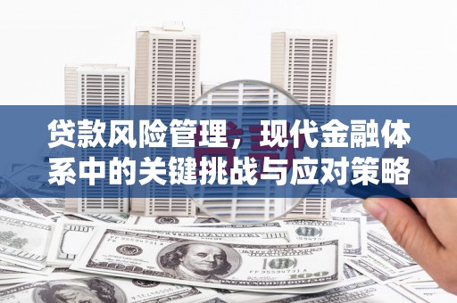 依兰贷款风险管理，现代金融体系中的关键挑战与应对策略